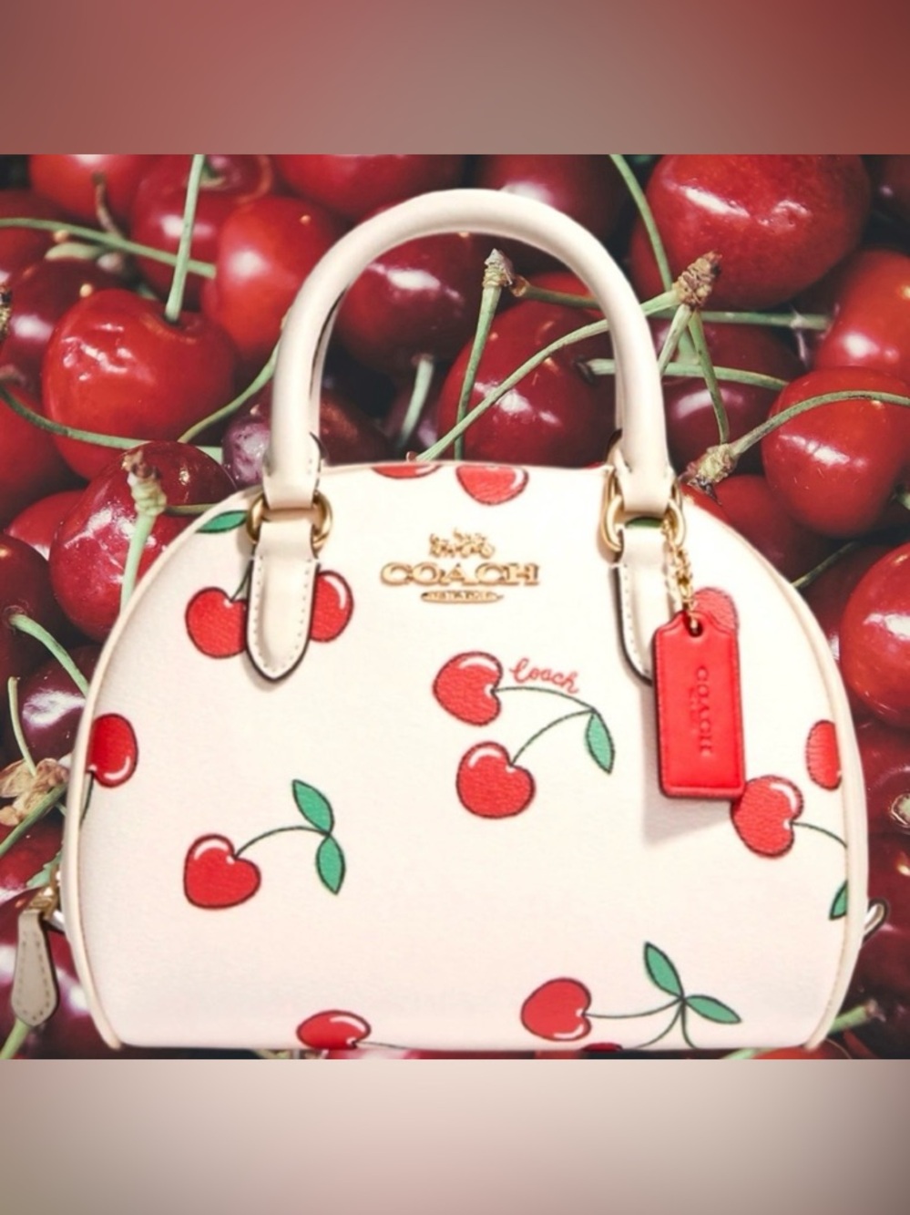 Coach 🍒 Cherry & Purse New With Tags - Picture 9 of 10
